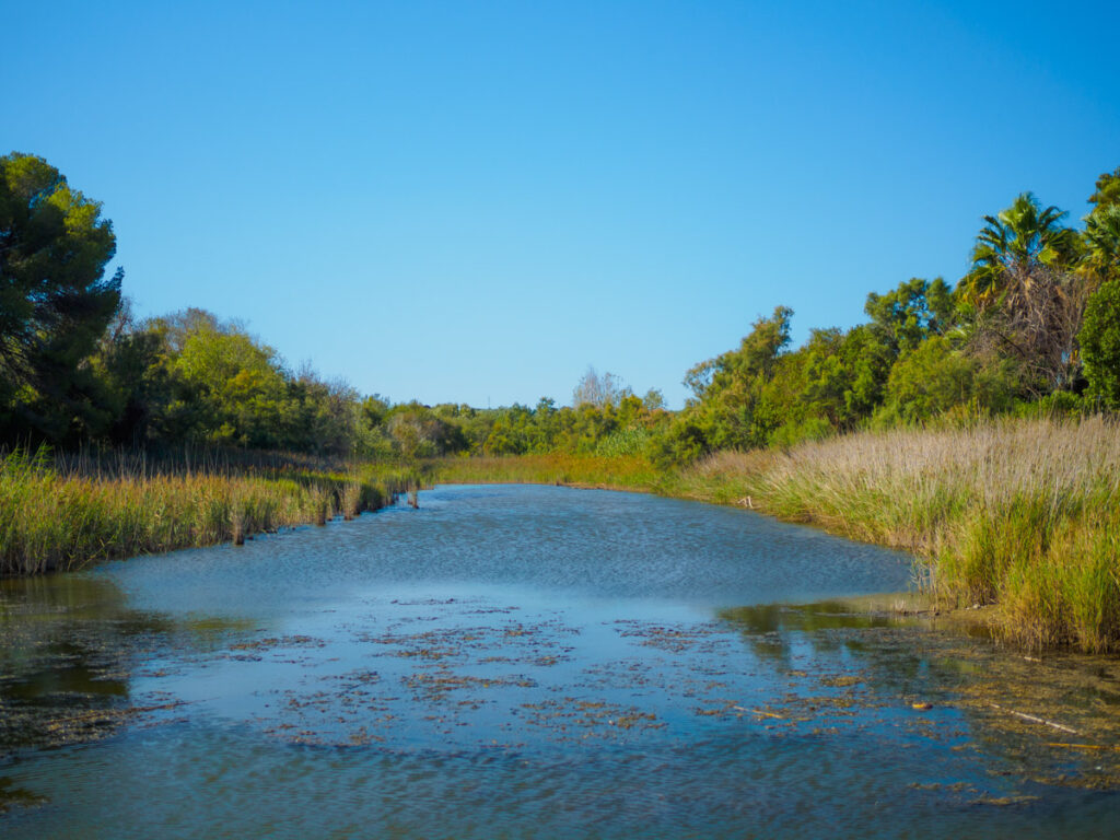 Desembocadura del Río Gaià