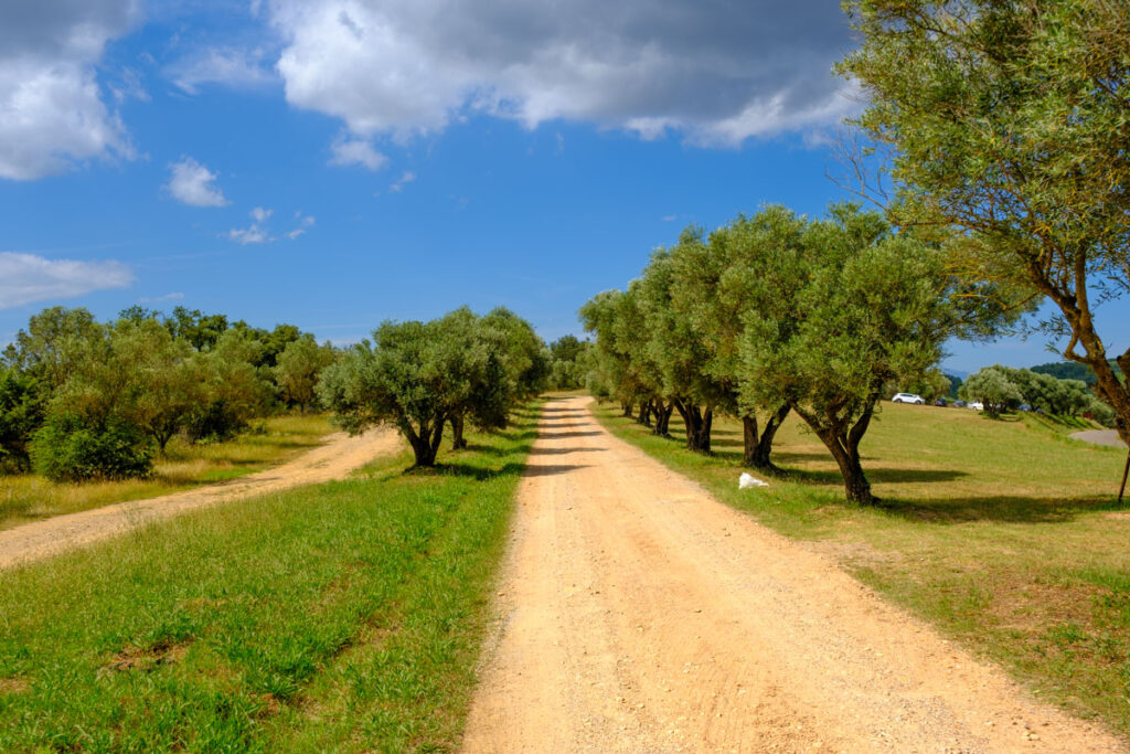 La Bisbal d'Empordà, la capital de la cerámica