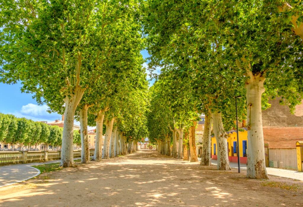 Passeig Marimon Asprer