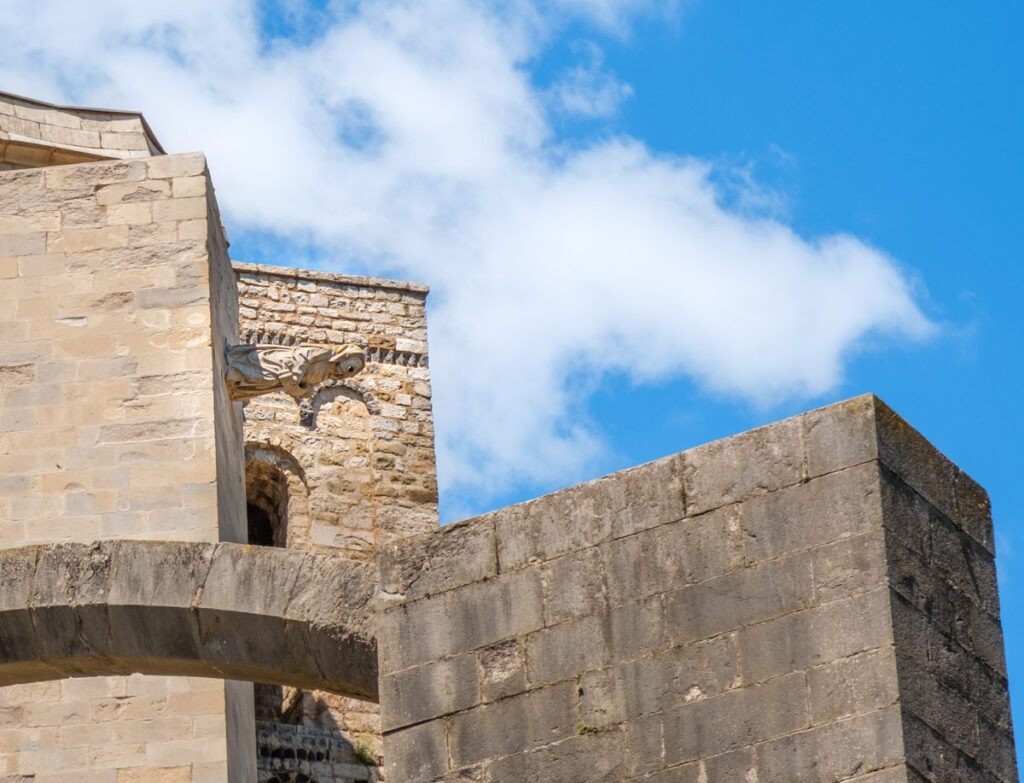 bruja de la catedral