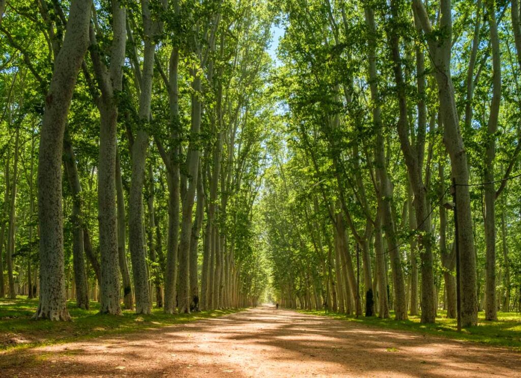 Parc de la Devesa