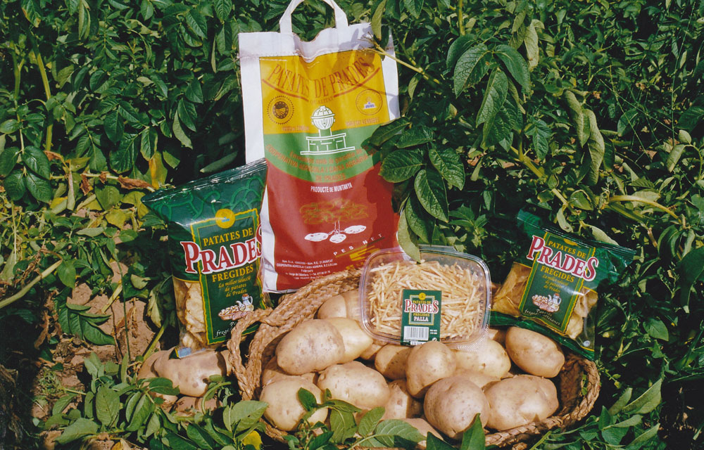 Patates de Prades