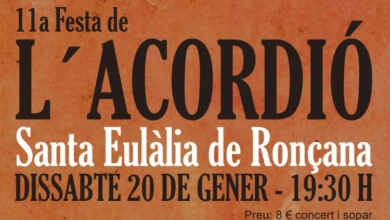11a Festa de l'Acordió