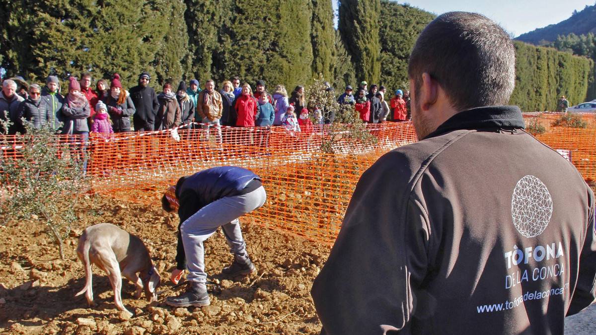 Fira de la Tòfona Negra i Concurs de Gossos Tofonaires