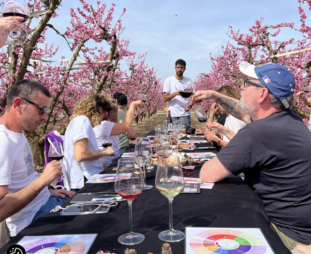 Tast de Vins entre Presseguers Florits a Seròs