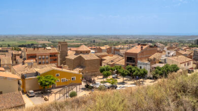 Alcoletge