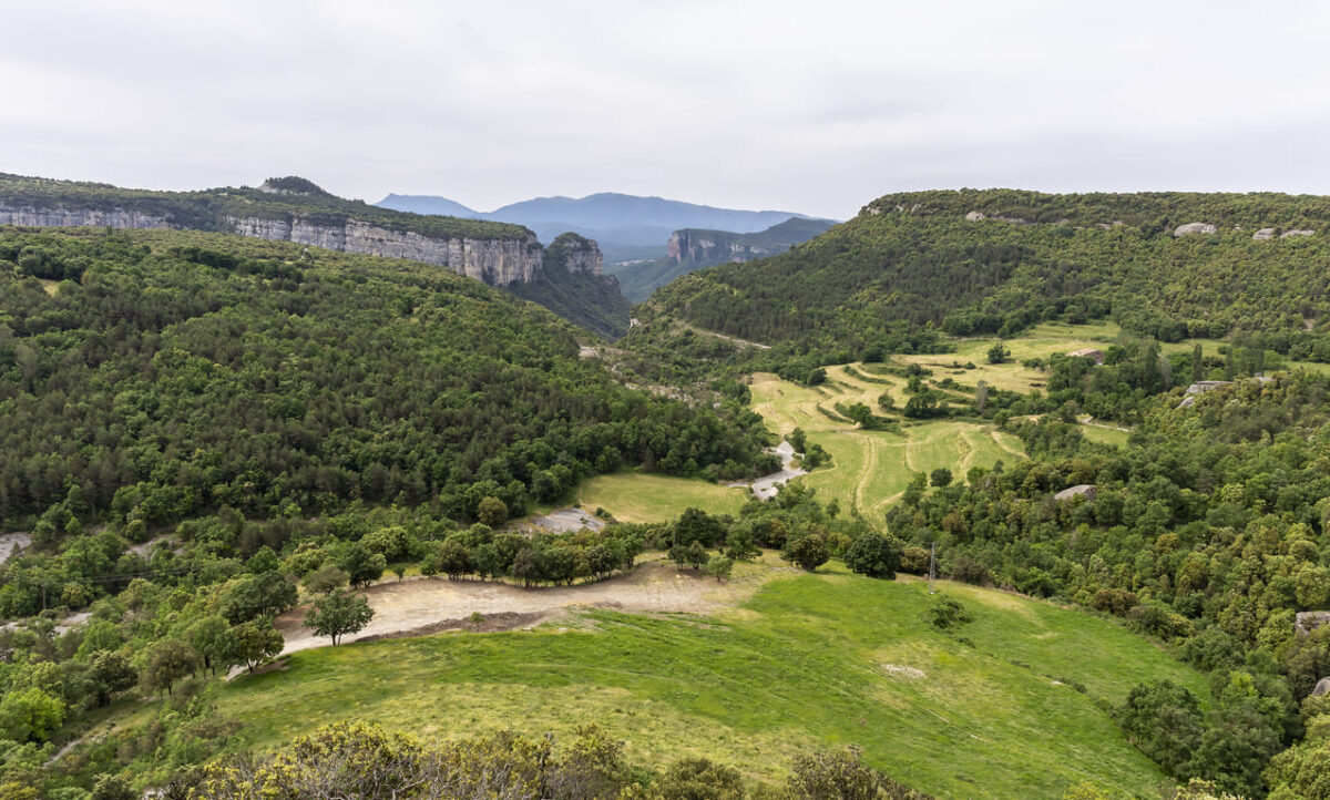 El Parc Natural de Collsacabra collsacabra