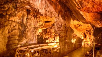 Coves del Salnitre