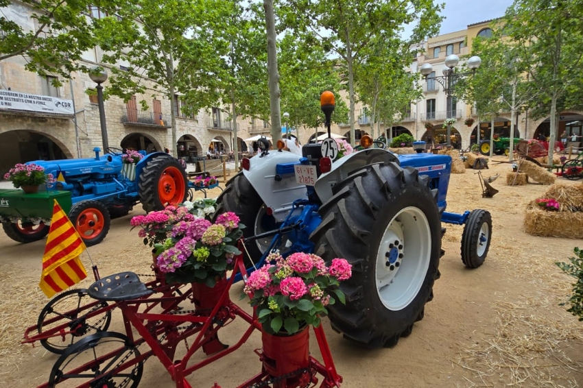 È BO, È MEL i Exposició de Flors