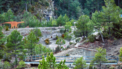 mirador del cretaci