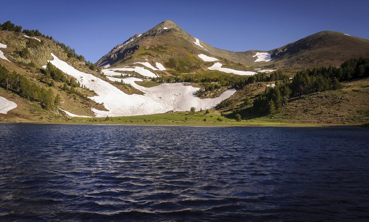 Estany de la llosa estany llosa
