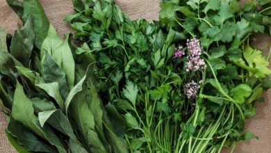 Fira de les Herbes i Flors de Muntanya