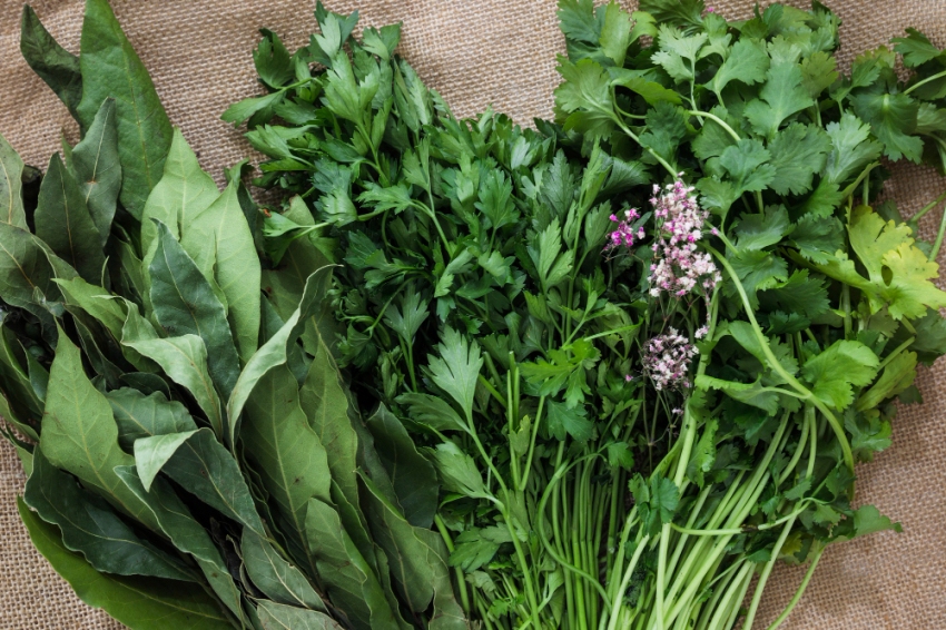 Fira de les Herbes i Flors de Muntanya