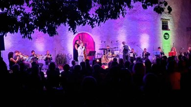 21è Festival música a les Vinyes