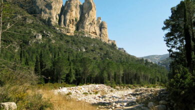 Parc Natural dels Ports, la natura a les Terres de l'Ebre Parc Natural dels Ports