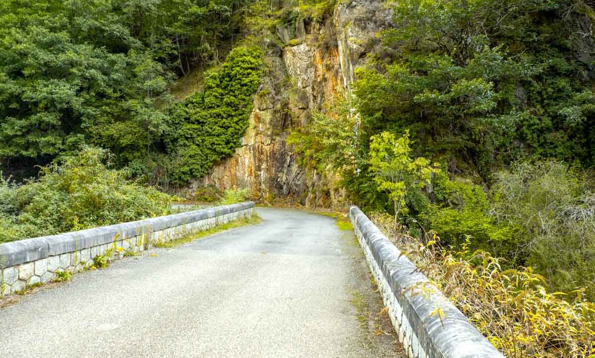 Pont de Rei