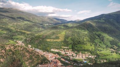 Ribes de Freser