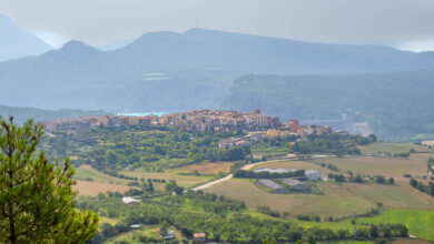 Talarn Talarn